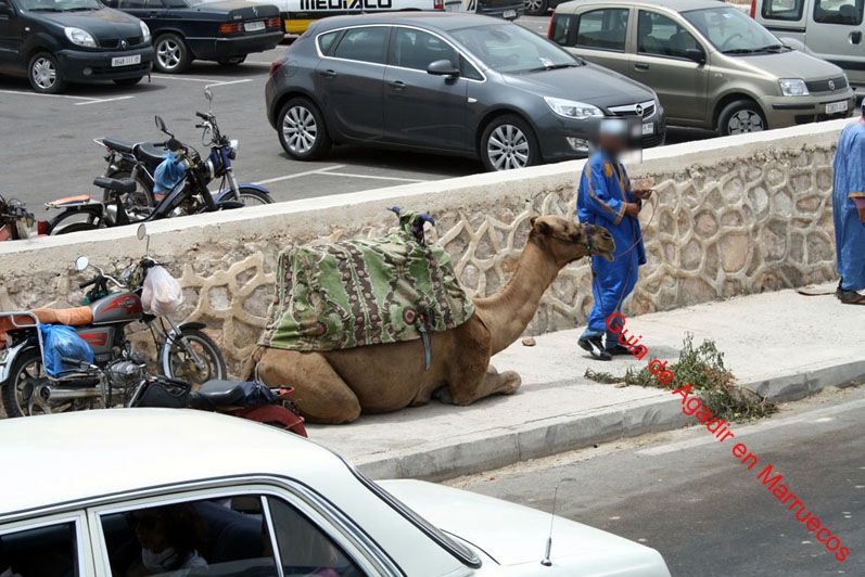 castillo-agadir-3