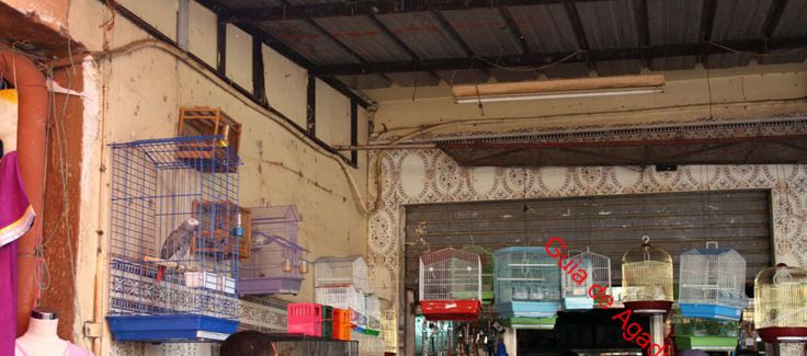 mercado-central-agadir-3