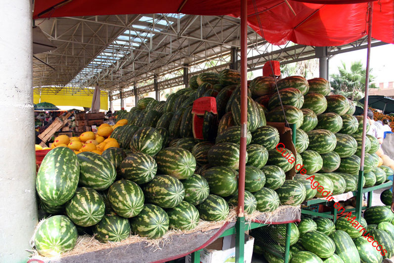 mercado-central-agadir-7