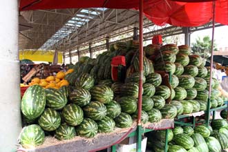 mercado-central-agadir-7